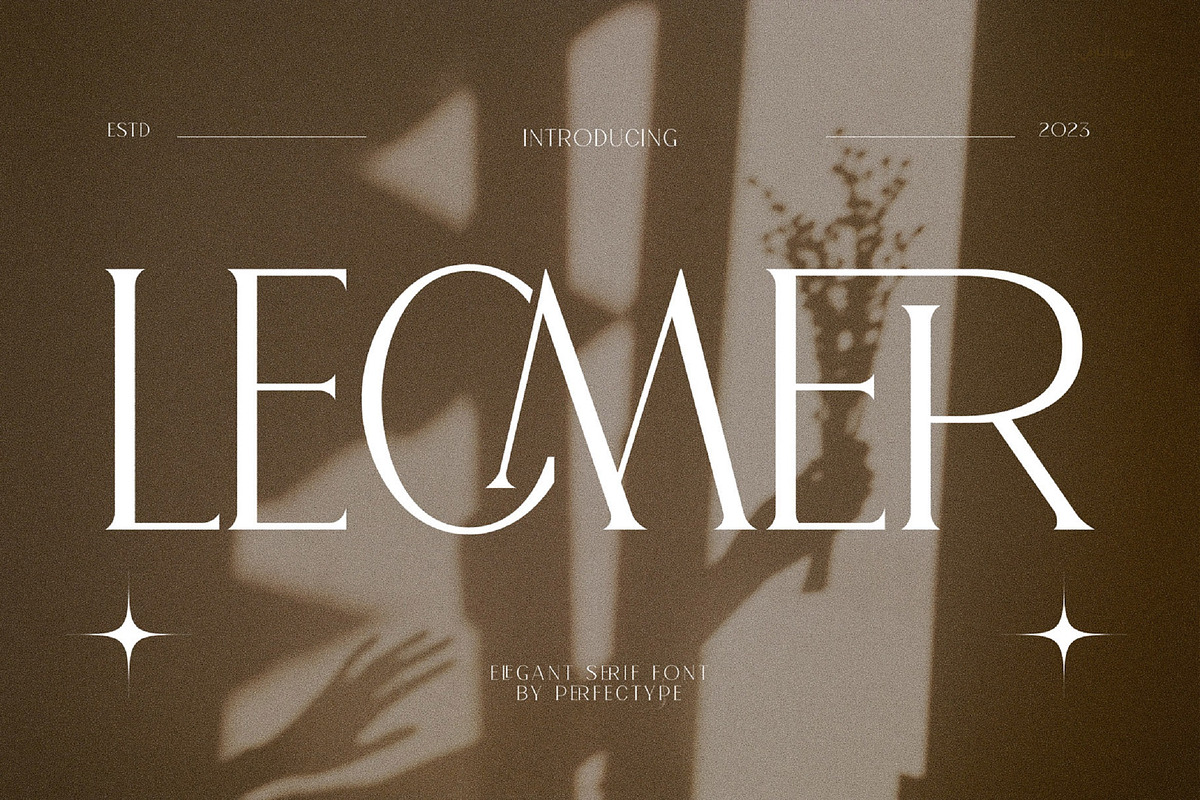 Lecmer Elegant Ligature Serif Font, a Serif Font by Perfectype (Photo 1 of 8)