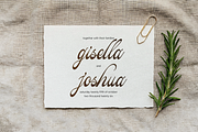Pitholica Delicate Classic Script, a Script Font by gracetype_studio (Thumbnail 3 of 11)