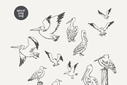 Vintage Coastal Sketches Bundle, an Outline Icon by Anastasiya Klempach (Thumbnail 13 of 14)