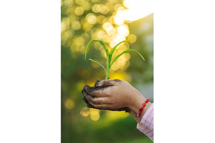 The child is planting a plant in the, a Nature Photo by yanadjana