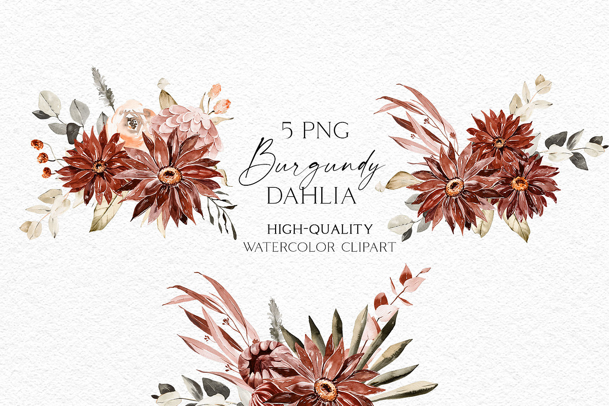 Burgundy Dahlia Fall Collection, an Illustration by Olga Koelsch (Photo 13 of 16)