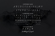 Amstone Stylish Font, a Script Font by Multype Studio (Thumbnail 6 of 7)