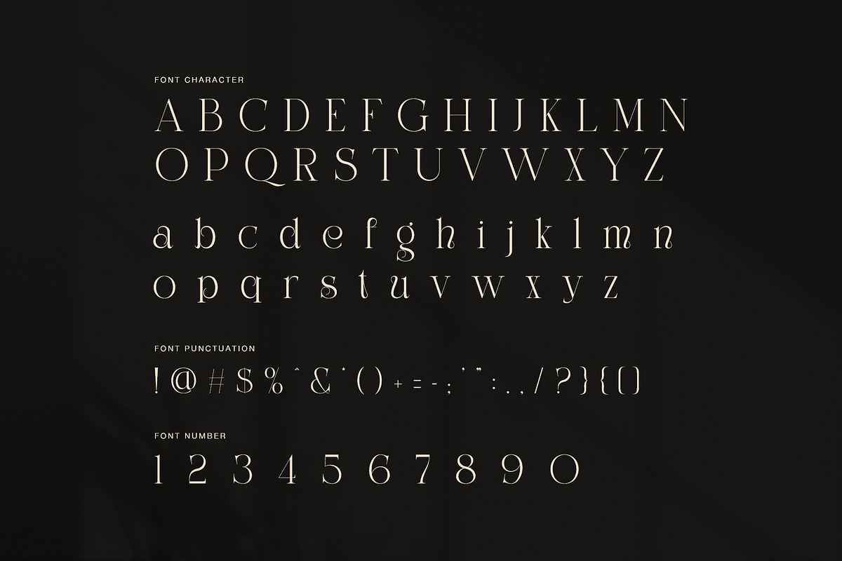 The Simple Elegant Serif Font, a Serif Font by Perfectype (Photo 7 of 8)