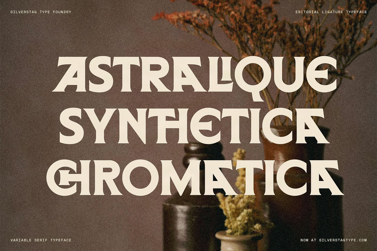 Arcilla — Variable Editorial Serif, a Serif Font by SilverStag Type Foundry (Photo 17 of 31)