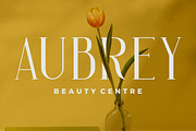 Arash - Vintage Serif Font, a Serif Font by PutraCetol Studio (Thumbnail 2 of 9)