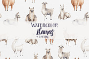 Watercolor Llamas + 2 Patterns, an Animal Illustration by Petite Salade (Thumbnail 1 of 4)