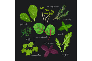 Herbs and leaves collection, a Food Illustration by Elen_Art