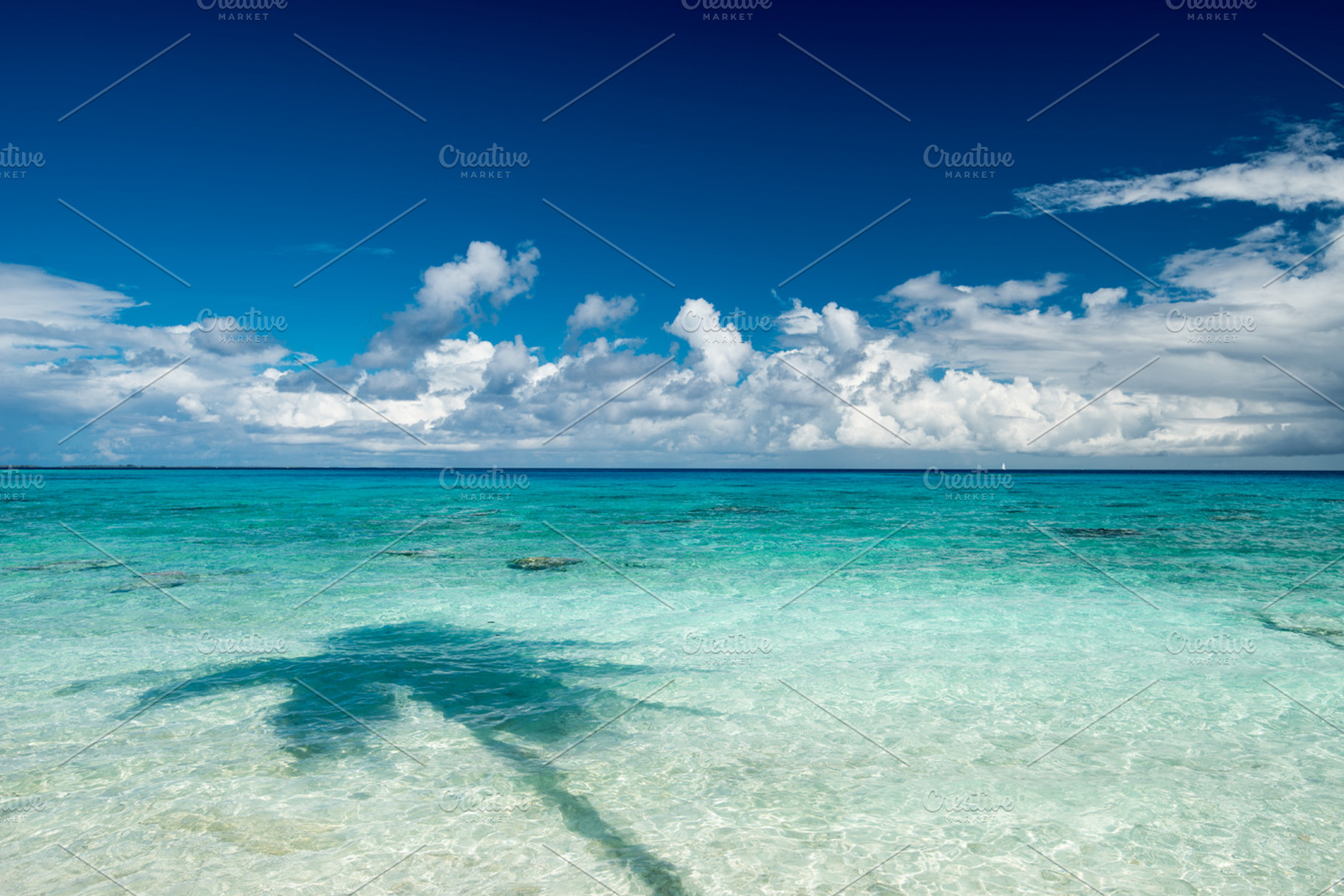 Beach, ocean and palm tree shadow, a Nature Photo by Ekaterina Grivet