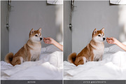 BOHEMIAN VIBES LIGHTROOM PRESETS, an Action Add-On by Nes Design Co (Thumbnail 9 of 11)