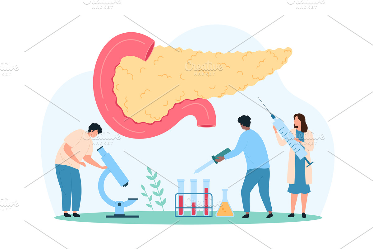 Diagnosis treatment pancreatic care, a Healthcare Illustration by Flashvector
