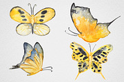 Watercolor Butterfly set #1, an Object Graphic by IvanFet (Thumbnail 7 of 8)