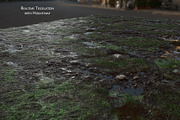 Textures - Grass, Mud, Puddles, a Textures & Material 3D Model by PurePolygons (Thumbnail 2 of 2)