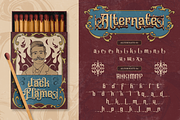 Slanfield, a Serif Font by Burntilldead (Thumbnail 7 of 11)