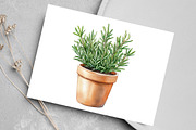 Christmas Houseplants Clipart, an Illustration by Canvas Craft (Thumbnail 7 of 8)