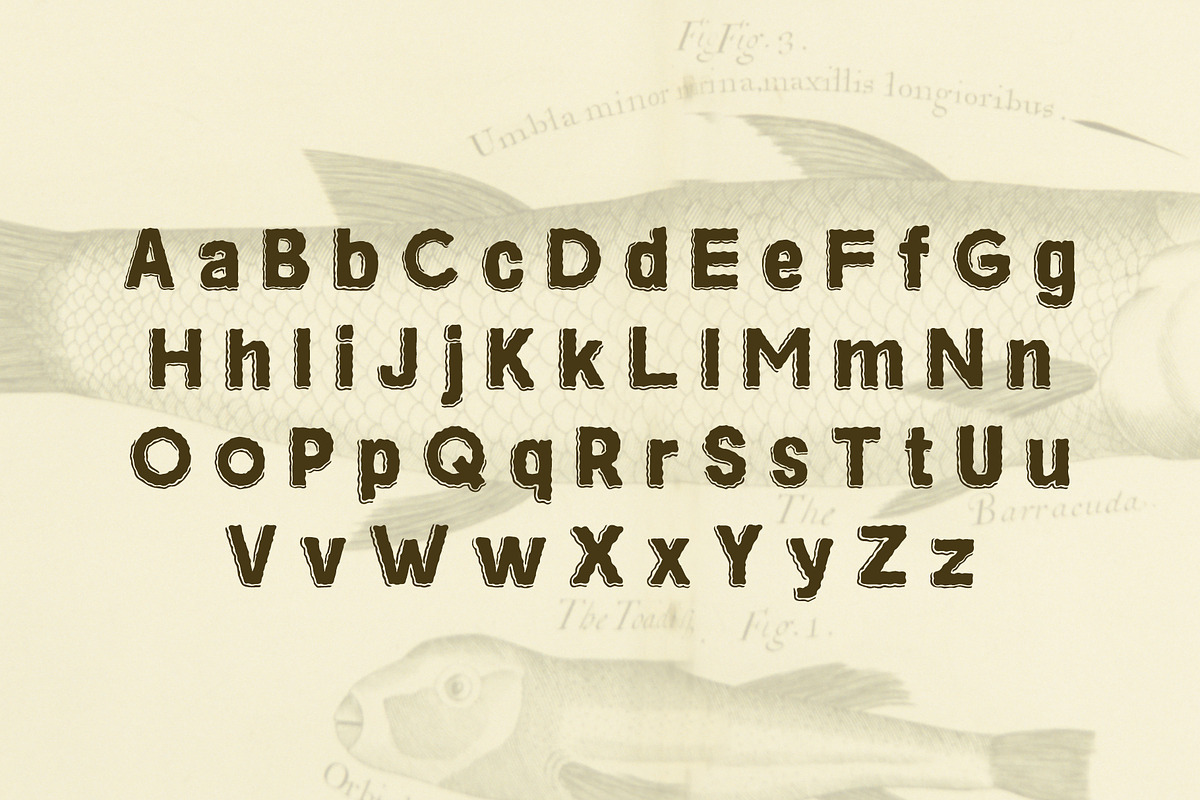 Romeo Press - Font, a Sans Serif Font by David is Creative (Photo 3 of 8)