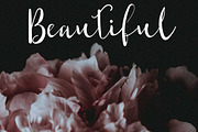Shaktira Font, a Script Font by Zmapist (Thumbnail 4 of 4)