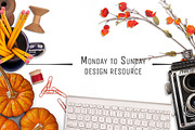 GET IT ALL: Mockups Bundle, a Cups & Container Mockup by Snark Heart (Thumbnail 9 of 25)
