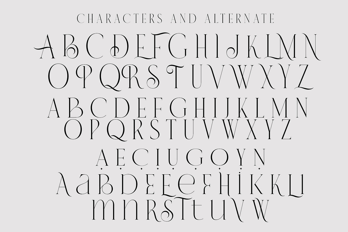 VERNICE LEMANS, a Serif Font by NYDESIGN (Photo 7 of 10)