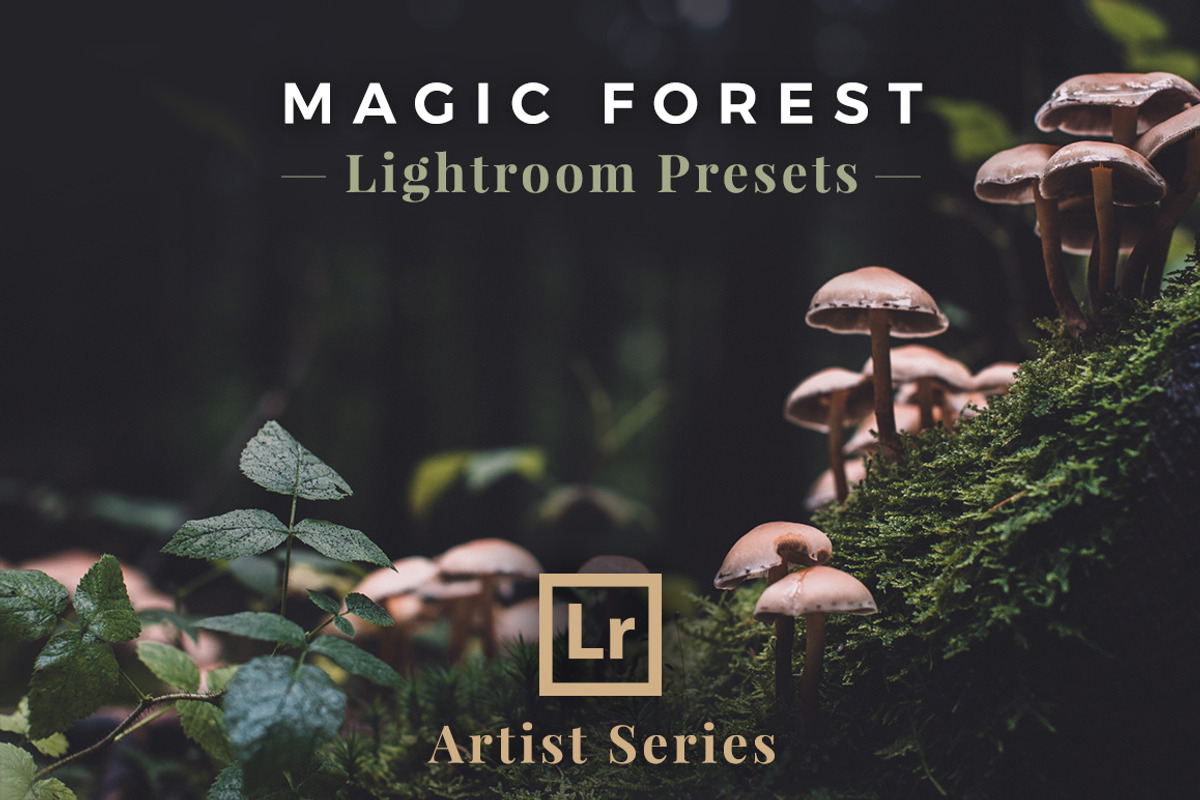 Moody Lightroom Presets - Landscapes, an Action Add-On by PhotoMarket (Photo 5 of 35)