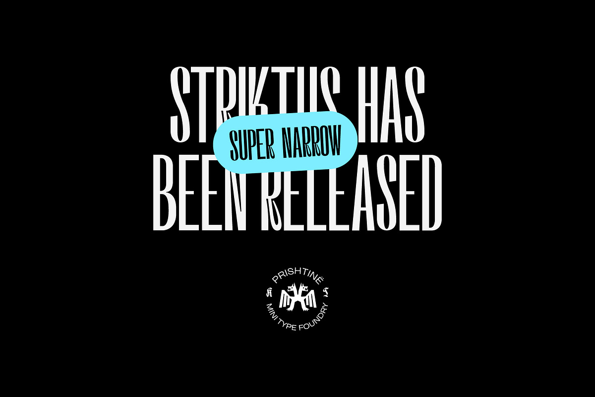 Neue Striktus - Display Type, a Sans Serif Font by Kulturë Type (Photo 9 of 9)