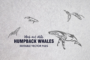 20 Whale Tribal Designs Bundle