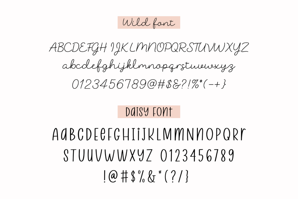 Wild Daisy -Script Monoline Font Duo, a Script Font by Jozoor (Photo 8 of 8)