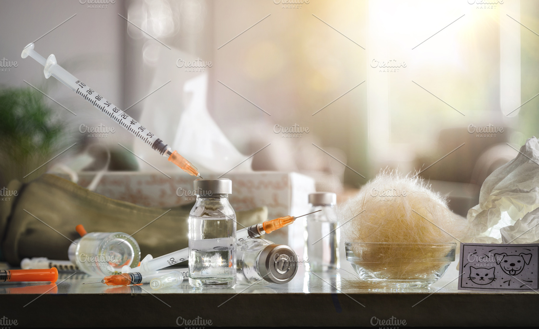 Pet allergy vaccine on table with living room in background, a Health & Medical Photo by Davizro's Market