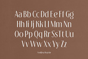 Souljiwa - Modern Branding Font, a Sans Serif Font by creativemedialab (Thumbnail 6 of 14)
