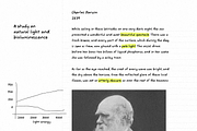 Naturalist Simple Handwriting Font, a Handwritten Font by TYPEHEIST (Thumbnail 4 of 12)