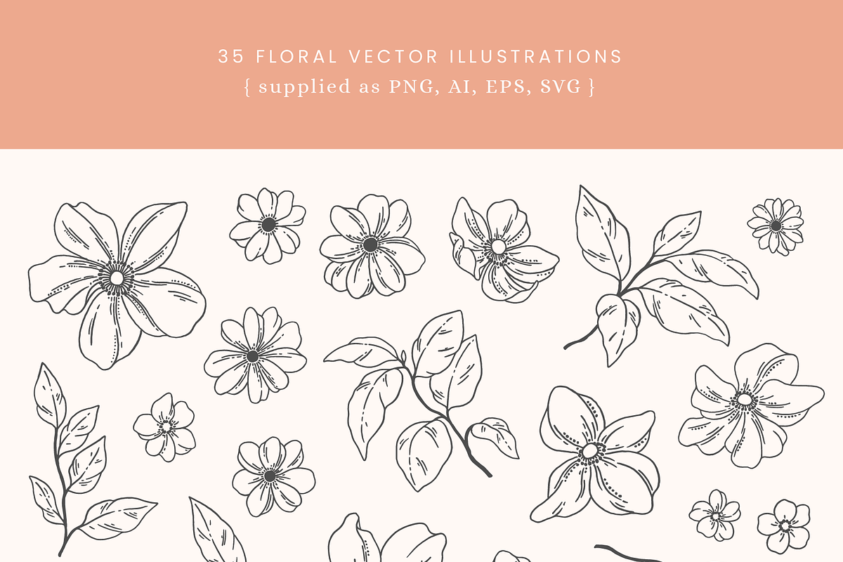 Floral Vector Illustrations, a Decorative Illustration by Emma Webb Studio (Photo 3 of 5)