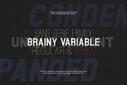 Brainy - Sans Serif (132 Fonts), a Sans Serif Font by Maculinc Type (Thumbnail 1 of 8)