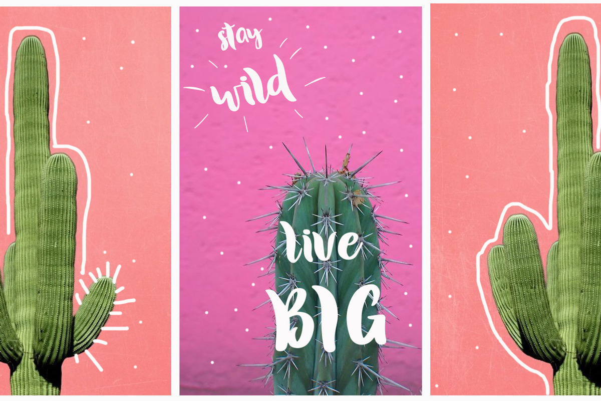 Mammasita Script Font preview 3