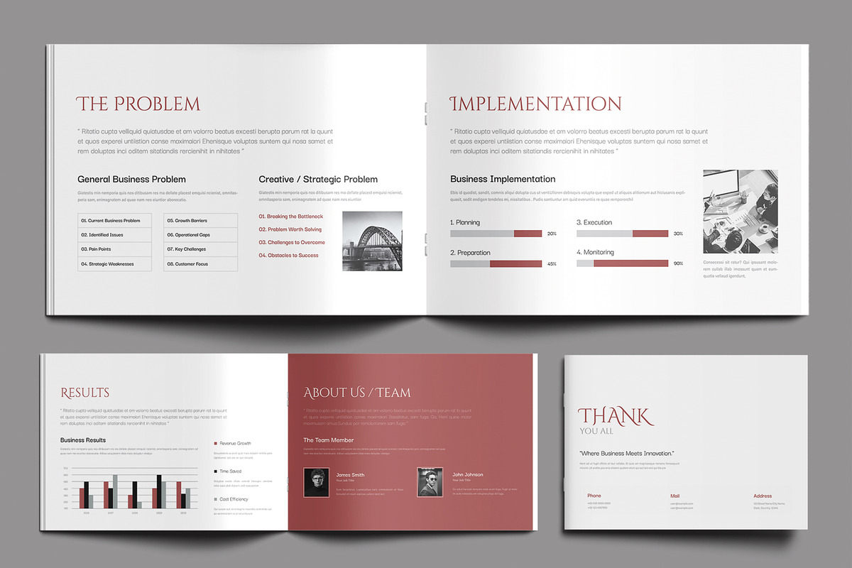 Professional Case Study Template preview 5