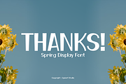 Spring Notase - Display Font, a Sans Serif Font by Iqsiart Studio (Thumbnail 11 of 11)