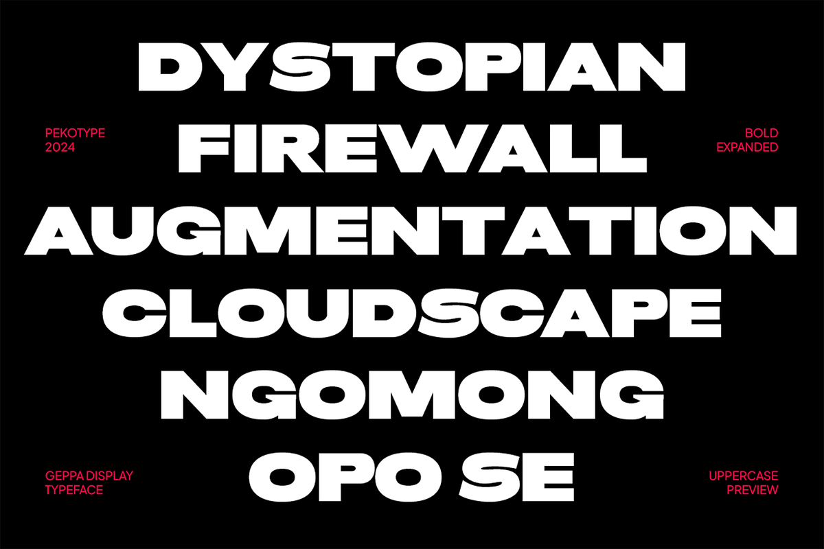 Geppa - Expanded Sans Serif, a Sans Serif Font by Pekotype (Photo 8 of 8)