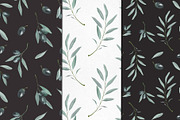 Watercolor Olives, an Illustration by Maria's little shop (Thumbnail 6 of 7)