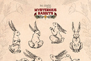 Mysterious Rabbits, an Animal Illustration by Ink Stories (Thumbnail 5 of 29)