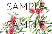 Bottle Brush Floral Clipart PNG, a Decorative Illustration by Pawcasso's Portraits (Thumbnail 4 of 6)