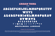 Griden Third, a Symbol Font by yumnatype (Thumbnail 10 of 10)