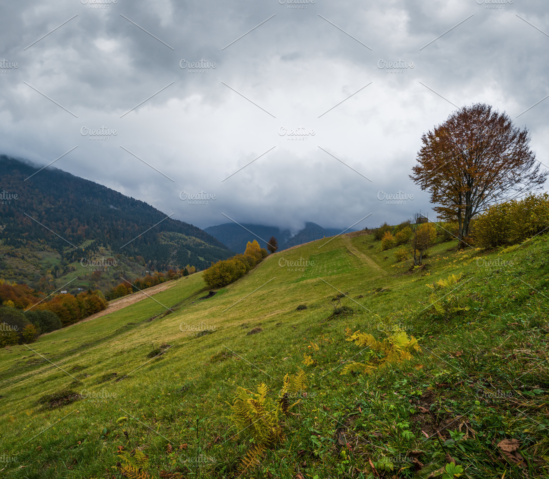 Cloudy and foggy day autumn mountains scene. Peaceful picturesqu, a Nature Photo by YuriyB