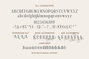 Brilliantly - A Stylish Serif, a Serif Font by Letterhend Studio (Thumbnail 11 of 12)