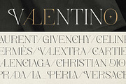 Absolute Glows -Sophisticated Luxury, a Serif Font by Shakira Studio (Thumbnail 5 of 10)
