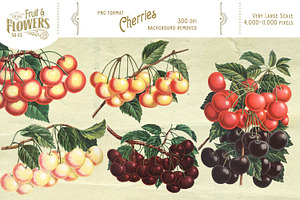 MASSIVE Vintage Fruit And Flowers