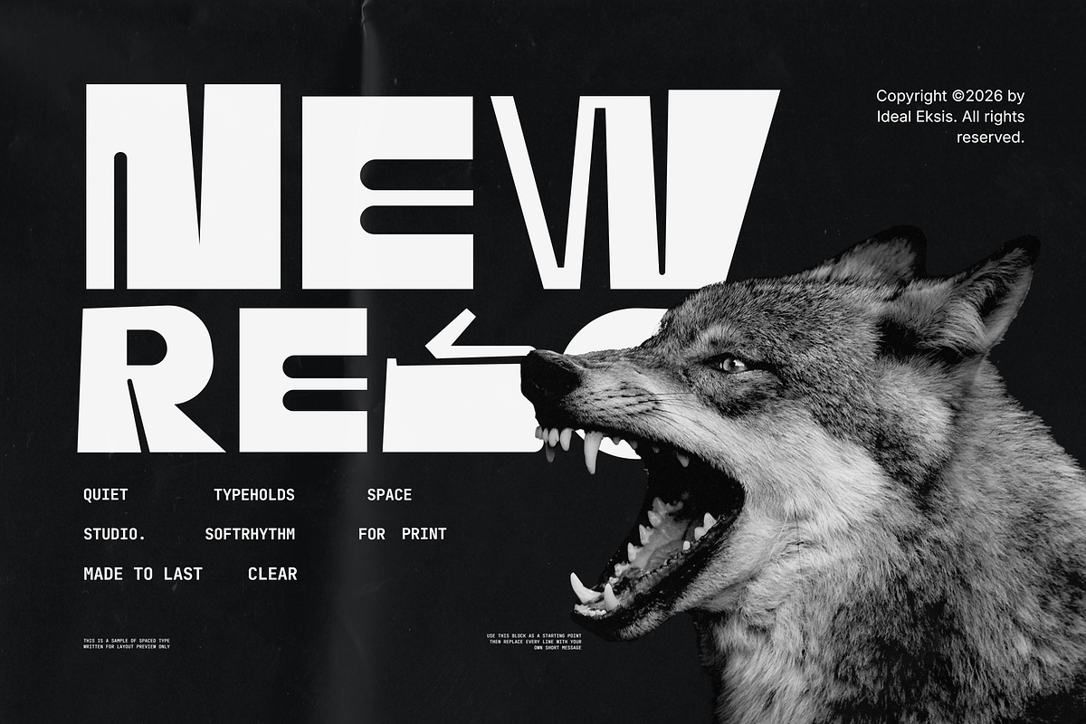 Dolor Banko, a Sans Serif Font by Ideal Eksis (Photo 4 of 7)