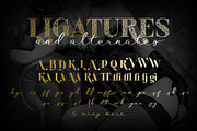 Waymar family, a Serif Font by NREY (Thumbnail 7 of 9)