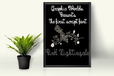 Pink Nightingale Script