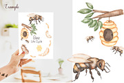 Watercolor Life Cycle Bundle, an Education Illustration by MayaNavits (Thumbnail 7 of 22)