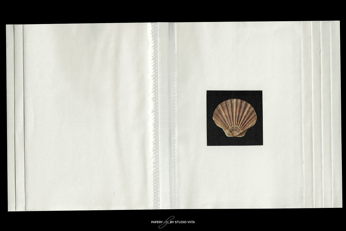 Flip Album Plastic Pocket Mockups, a Books & Magazine Mockup by Studio Viita (Photo 5 of 11)