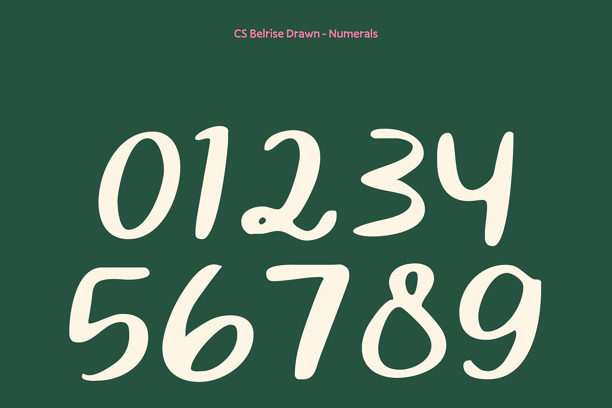 CS Belrise Drawn, a Script Font by Craft Supply Co. (Photo 5 of 8)