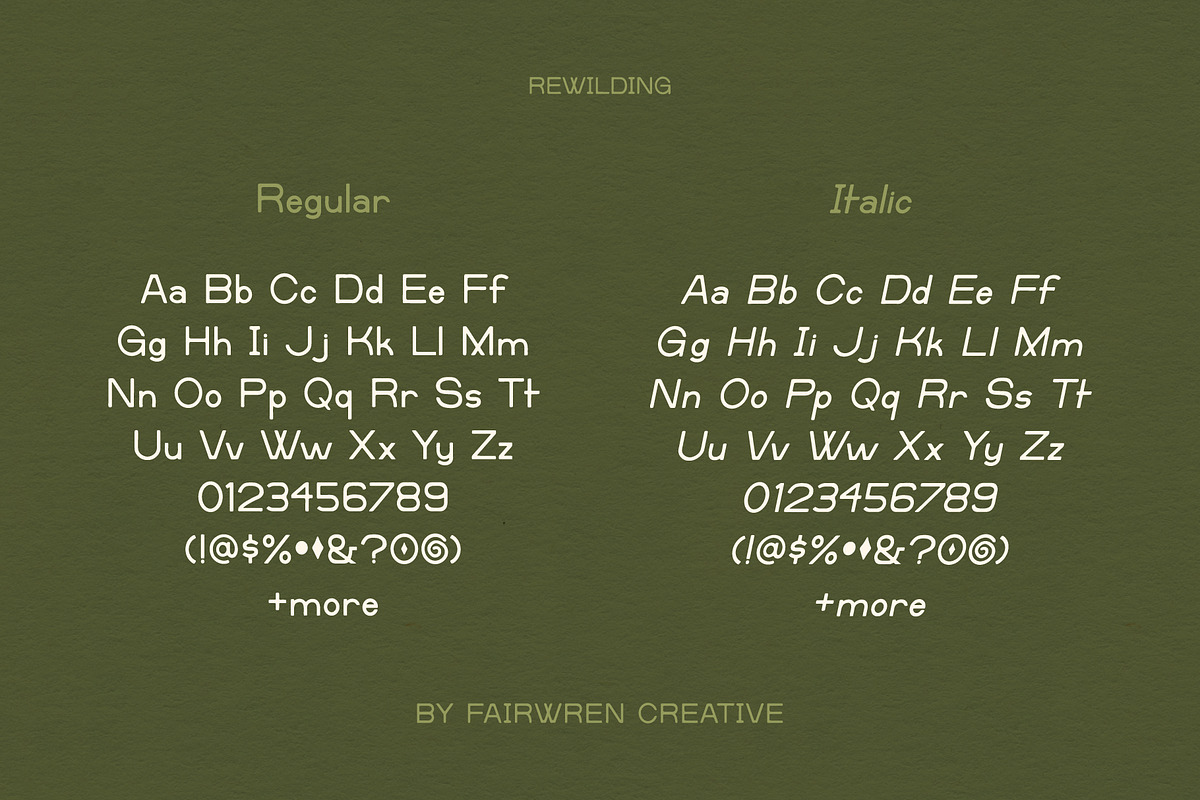 Rewilding, a Sans Serif Font by Fairwren Creative (Photo 6 of 9)